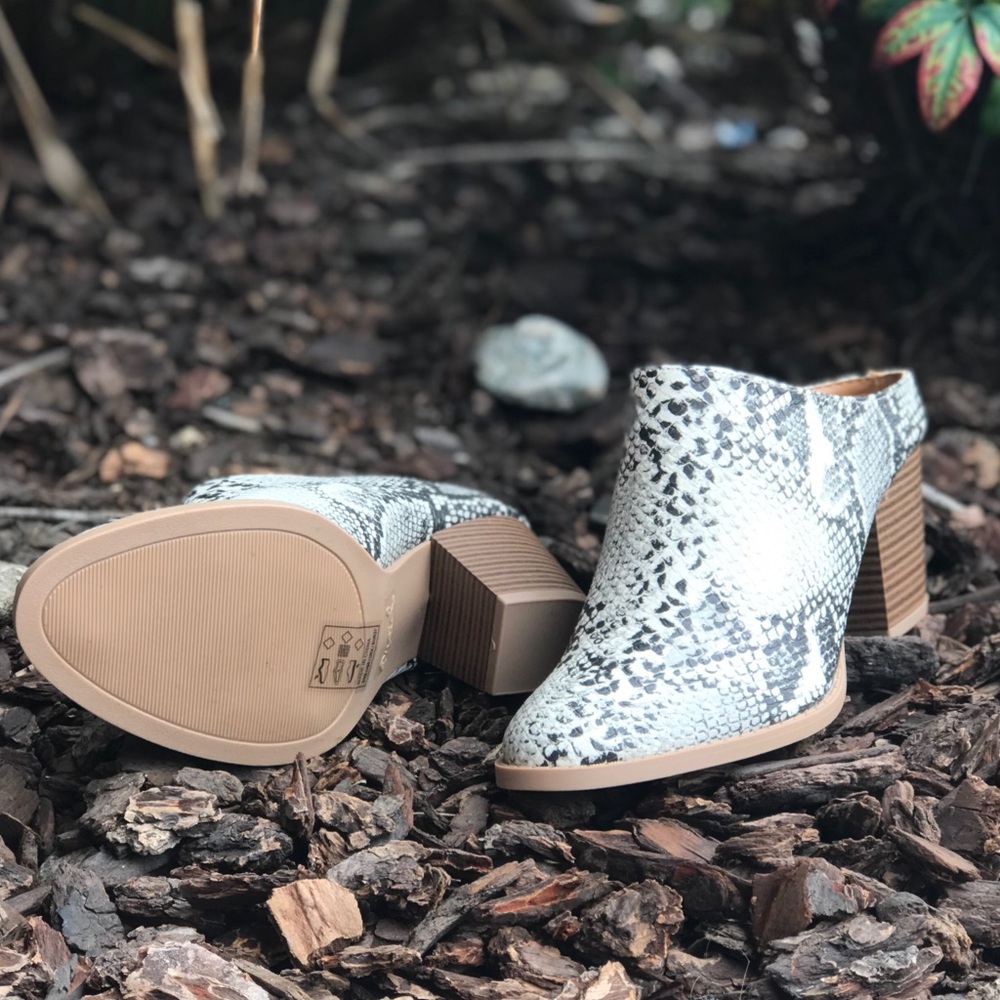 😍restock Snake skin mule - Picture 8 of 8